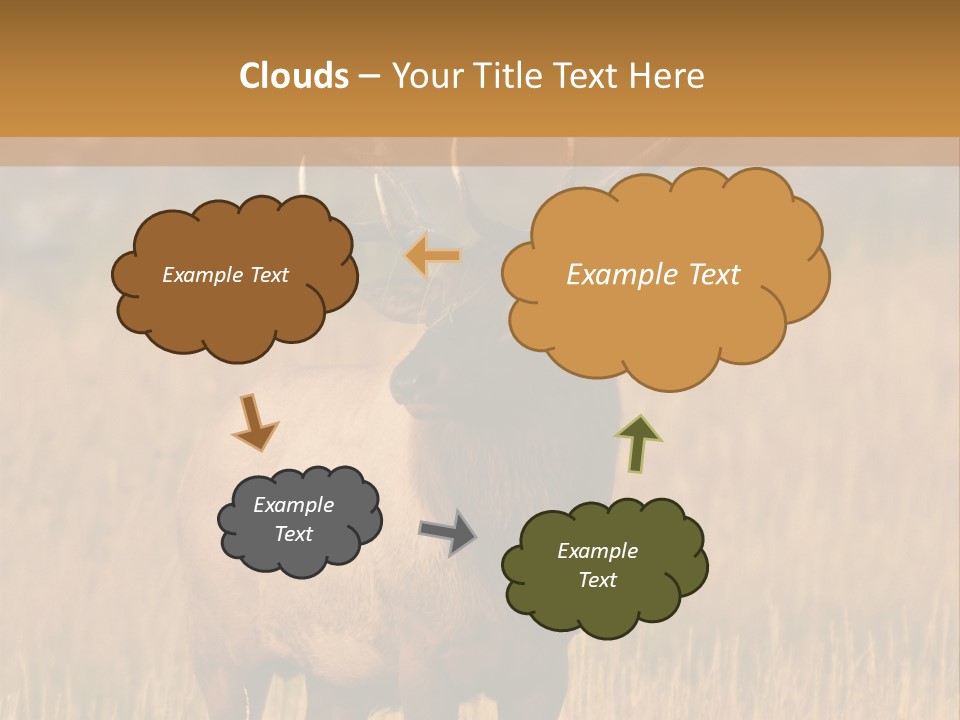 Park Contact Madison PowerPoint Template