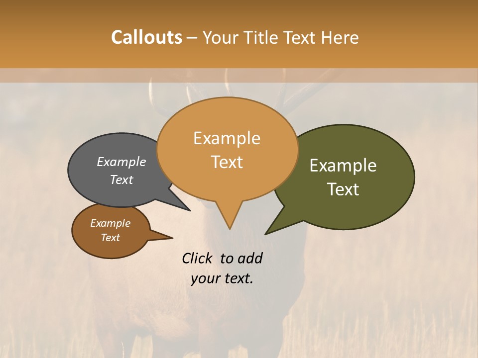Park Contact Madison PowerPoint Template