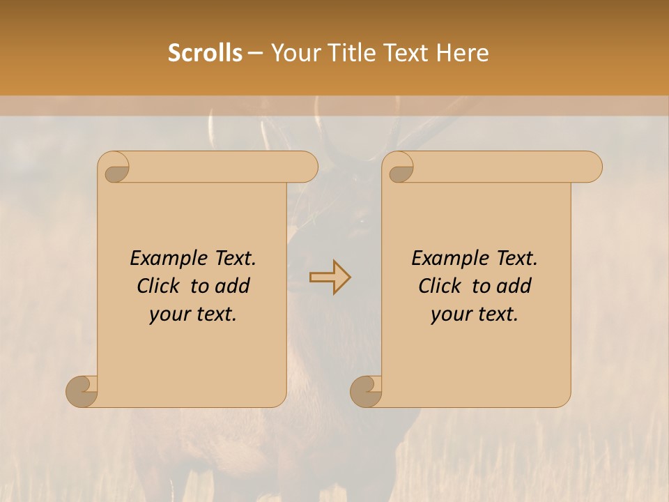 Park Contact Madison PowerPoint Template