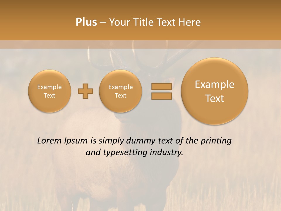Park Contact Madison PowerPoint Template