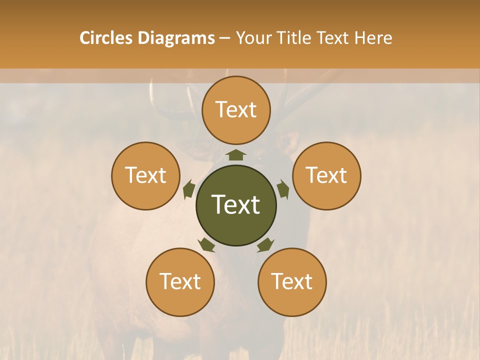 Park Contact Madison PowerPoint Template