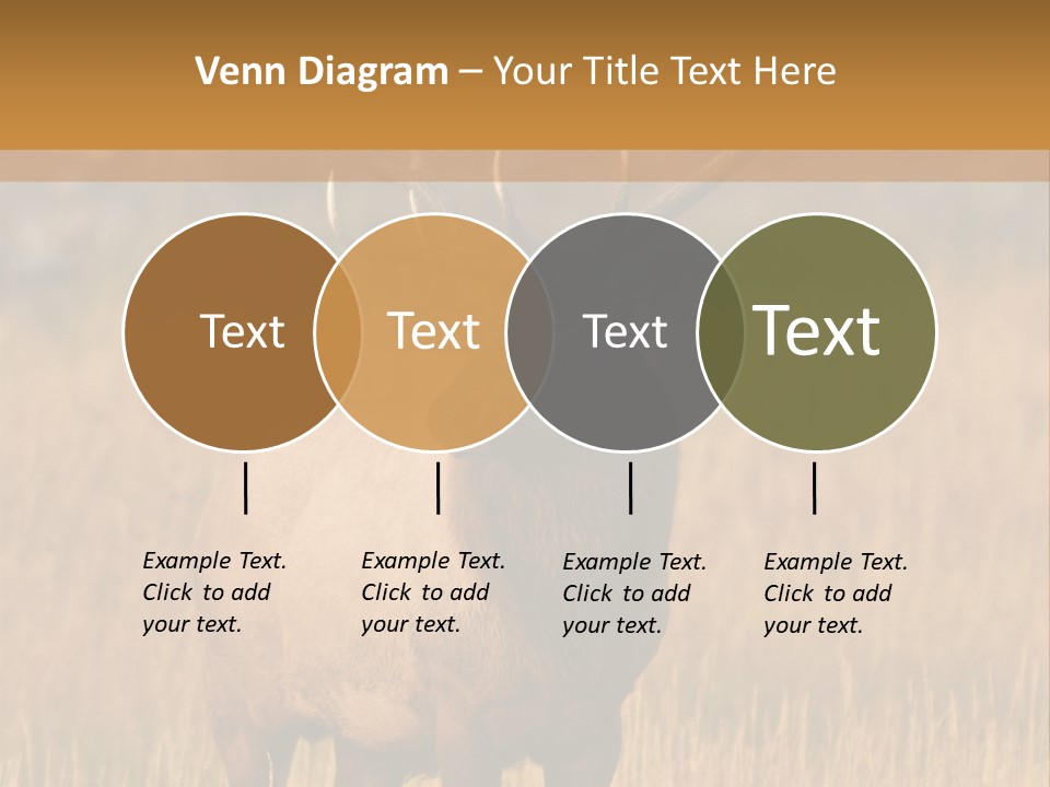 Park Contact Madison PowerPoint Template