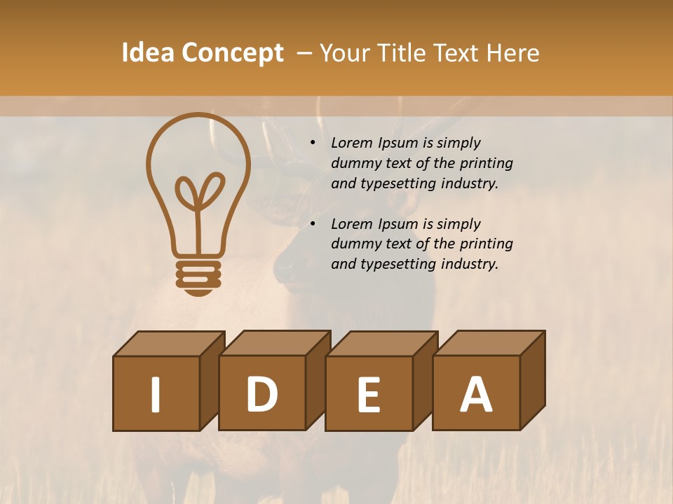 Park Contact Madison PowerPoint Template