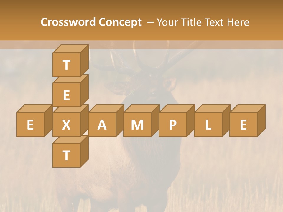 Park Contact Madison PowerPoint Template