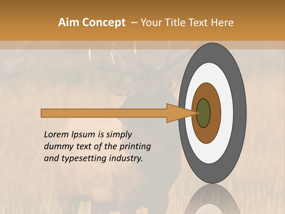 Park Contact Madison PowerPoint Template