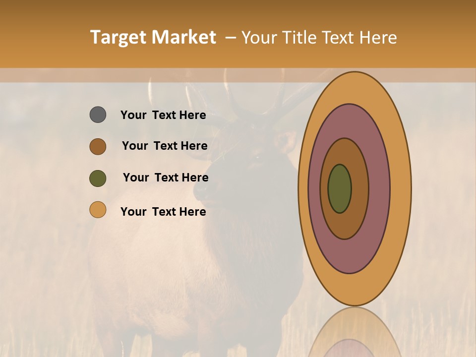 Park Contact Madison PowerPoint Template