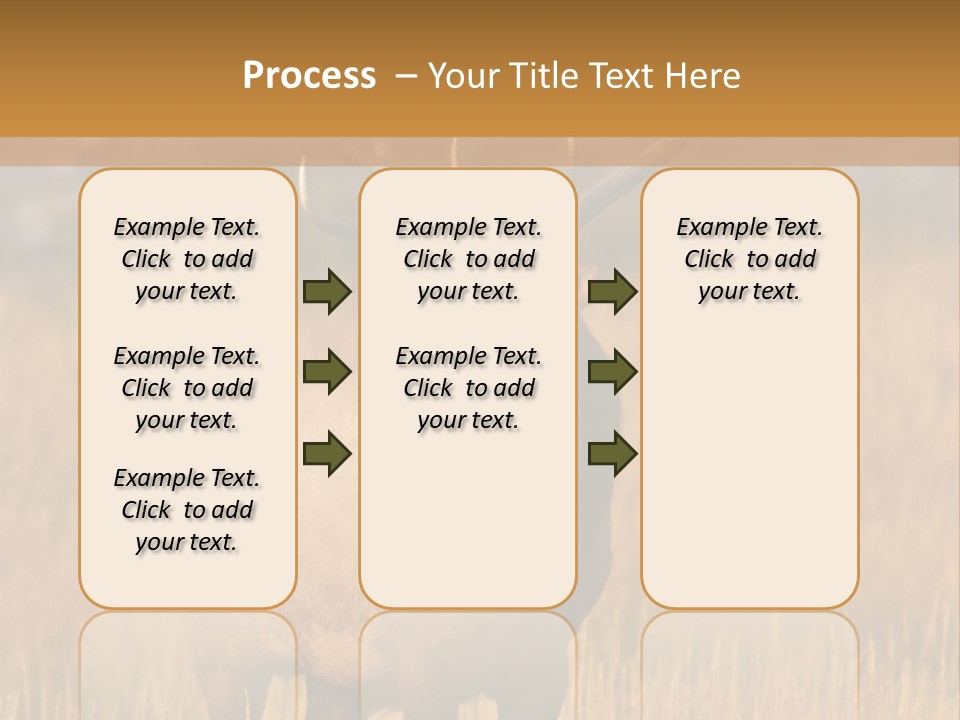 Park Contact Madison PowerPoint Template