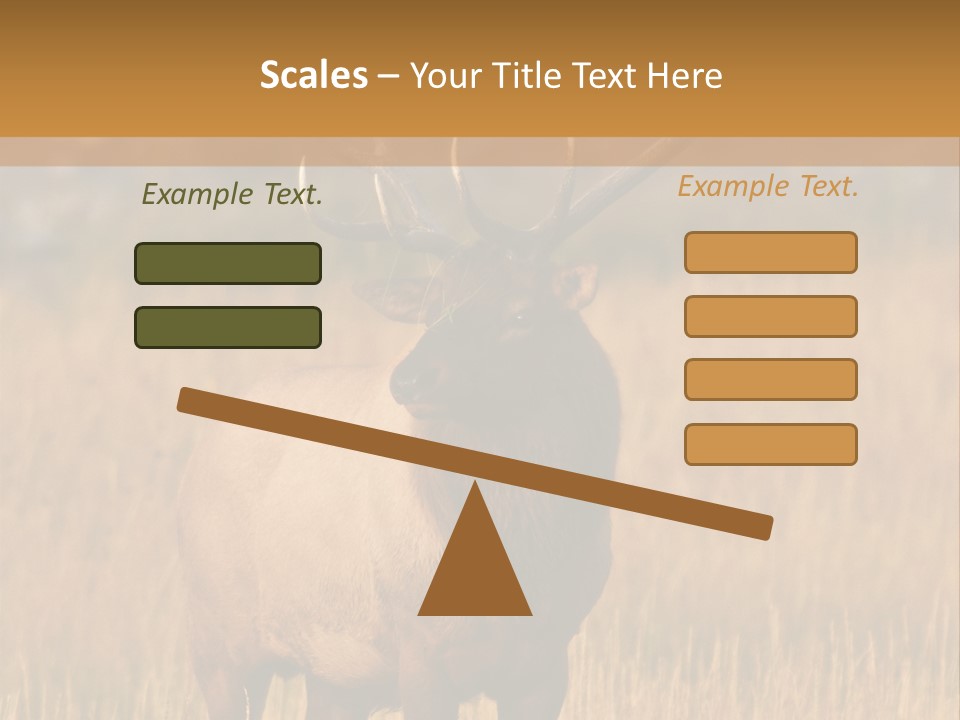 Park Contact Madison PowerPoint Template