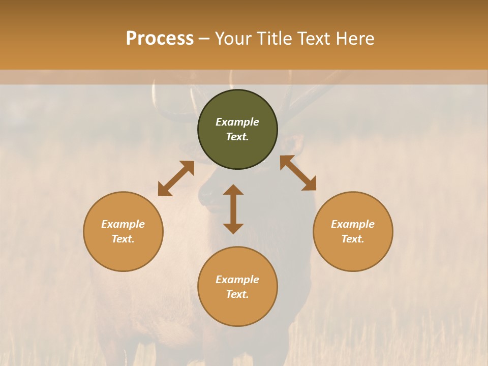 Park Contact Madison PowerPoint Template
