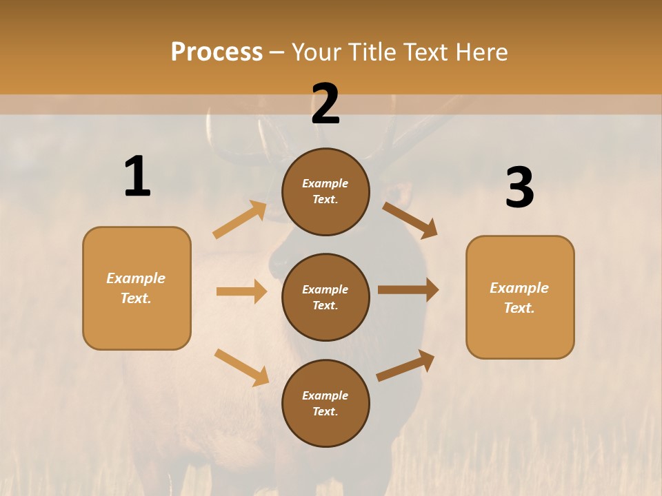 Park Contact Madison PowerPoint Template