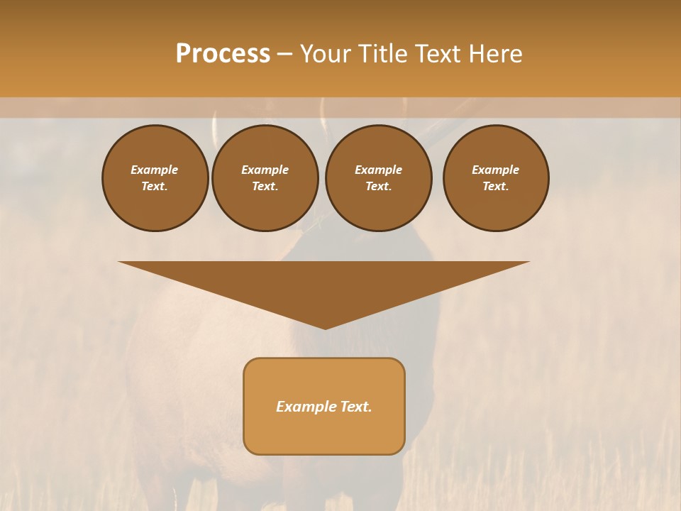 Park Contact Madison PowerPoint Template