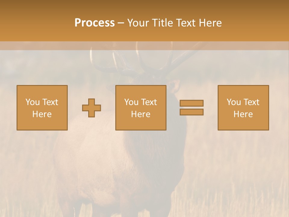 Park Contact Madison PowerPoint Template