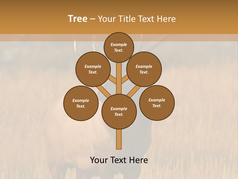 Park Contact Madison PowerPoint Template