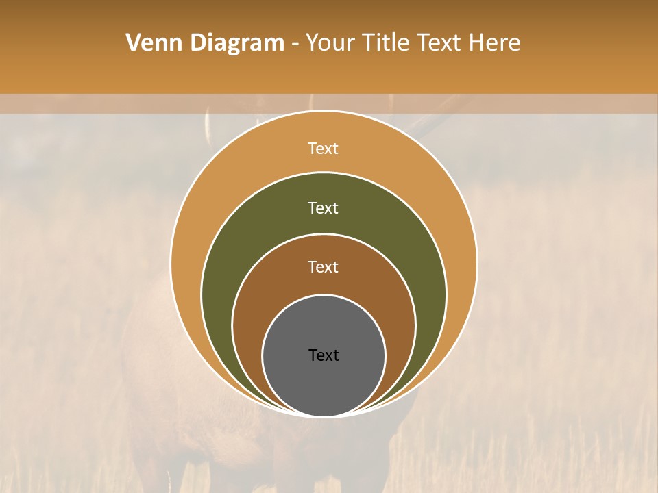 Park Contact Madison PowerPoint Template