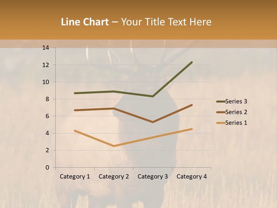 Park Contact Madison PowerPoint Template