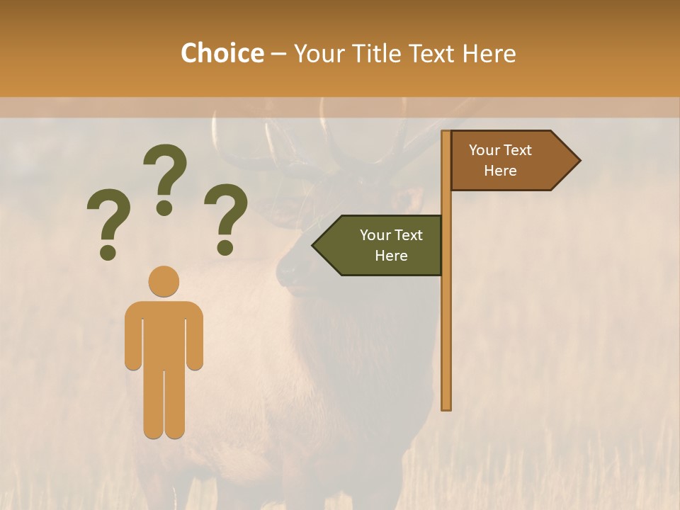 Park Contact Madison PowerPoint Template