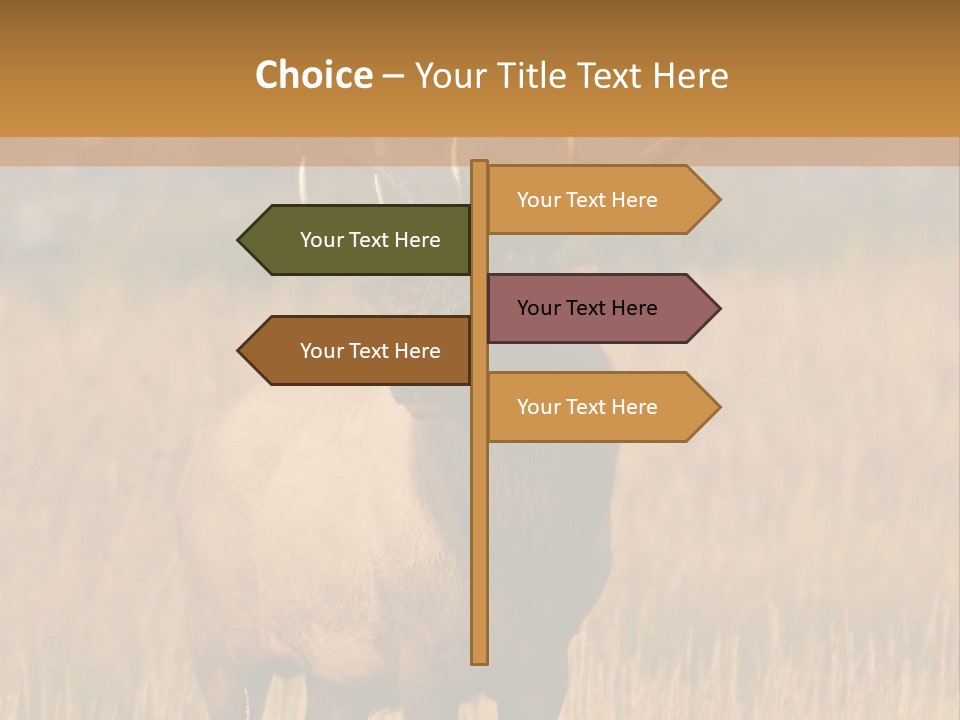 Park Contact Madison PowerPoint Template