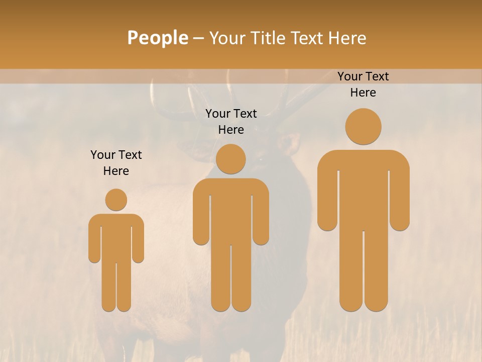 Park Contact Madison PowerPoint Template