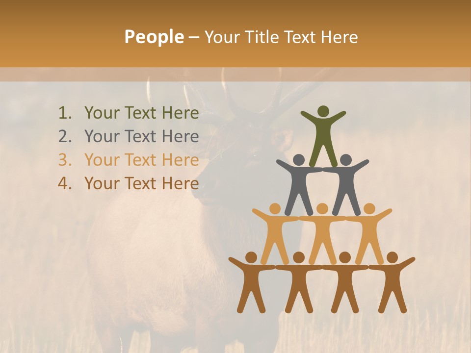 Park Contact Madison PowerPoint Template