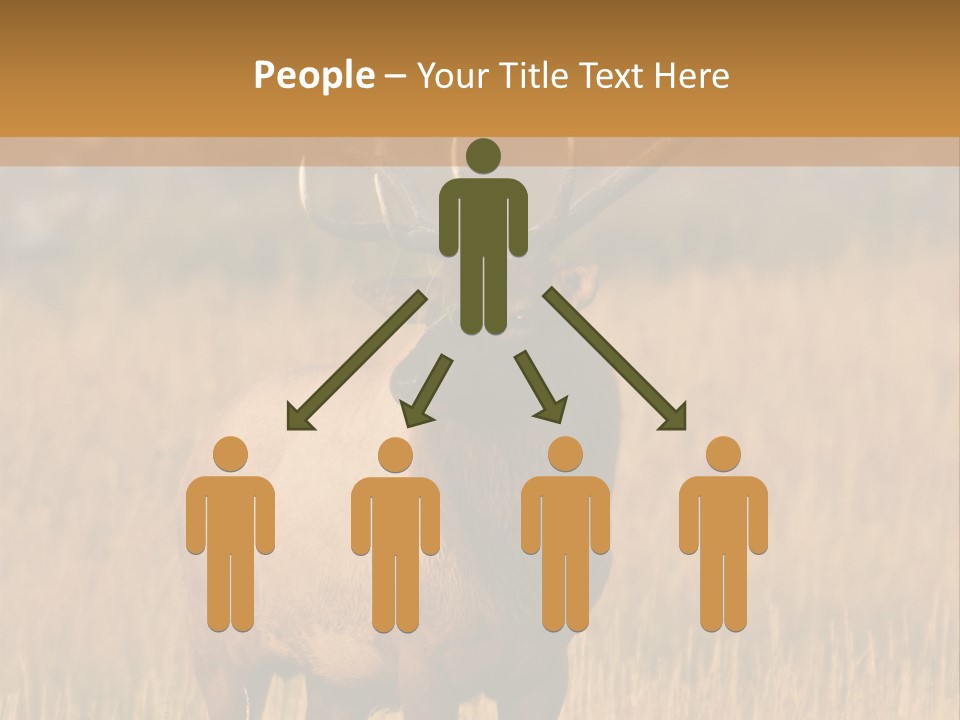 Park Contact Madison PowerPoint Template