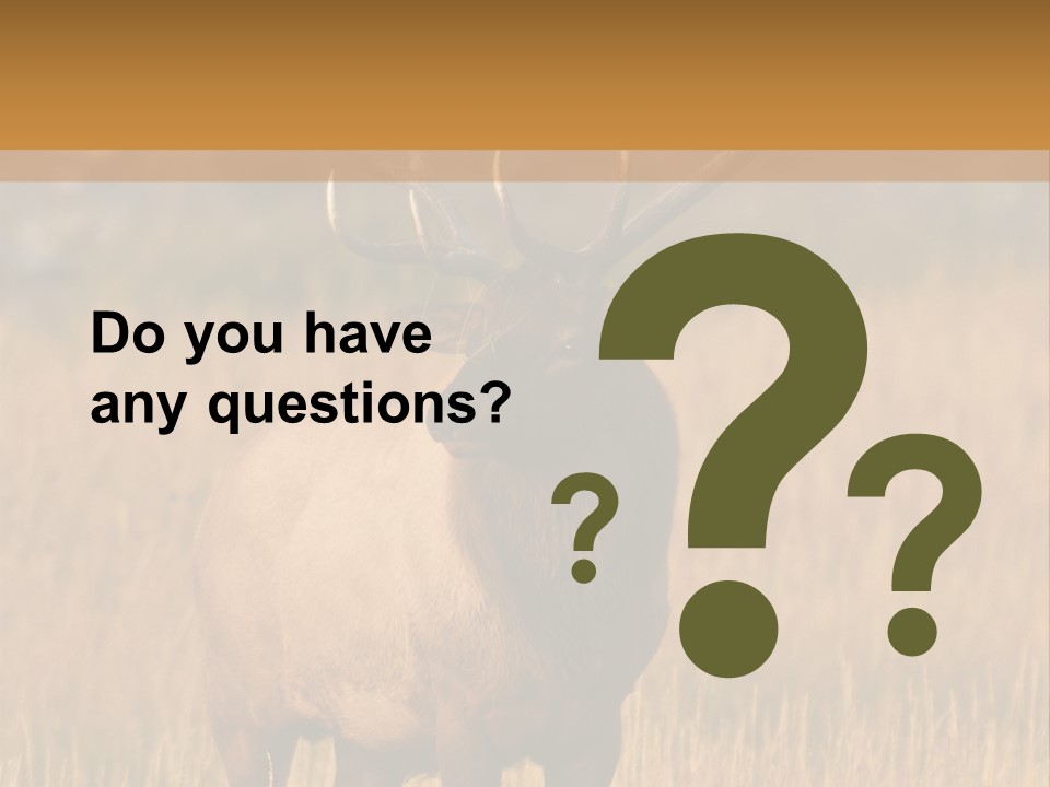 Park Contact Madison PowerPoint Template