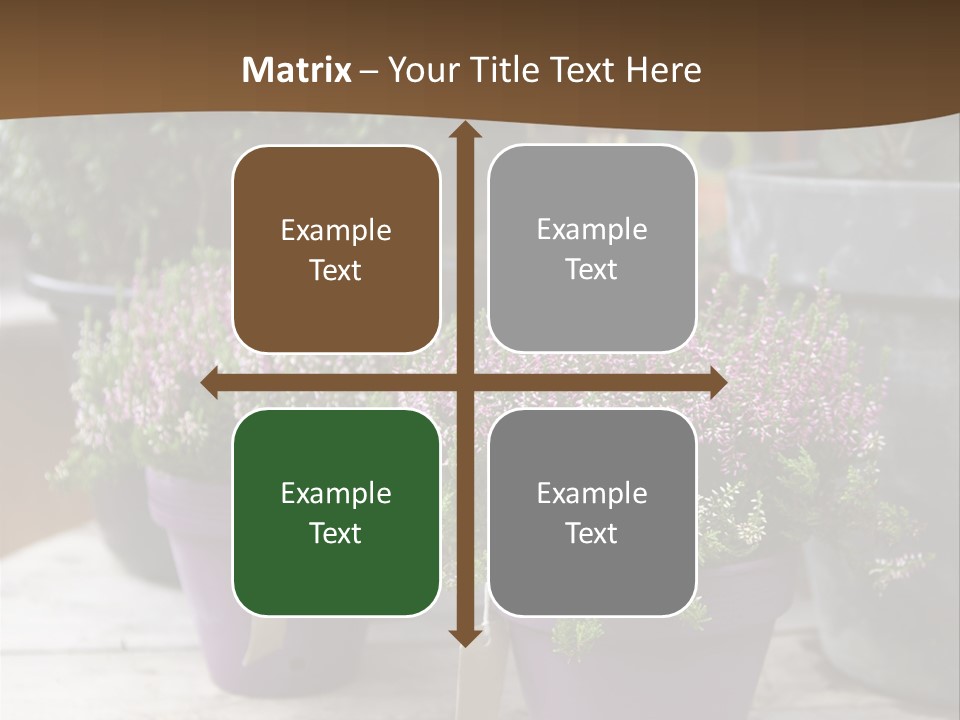 White Shoes Rake PowerPoint Template