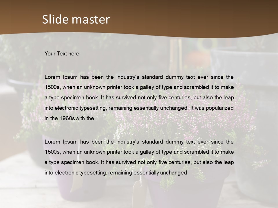 White Shoes Rake PowerPoint Template