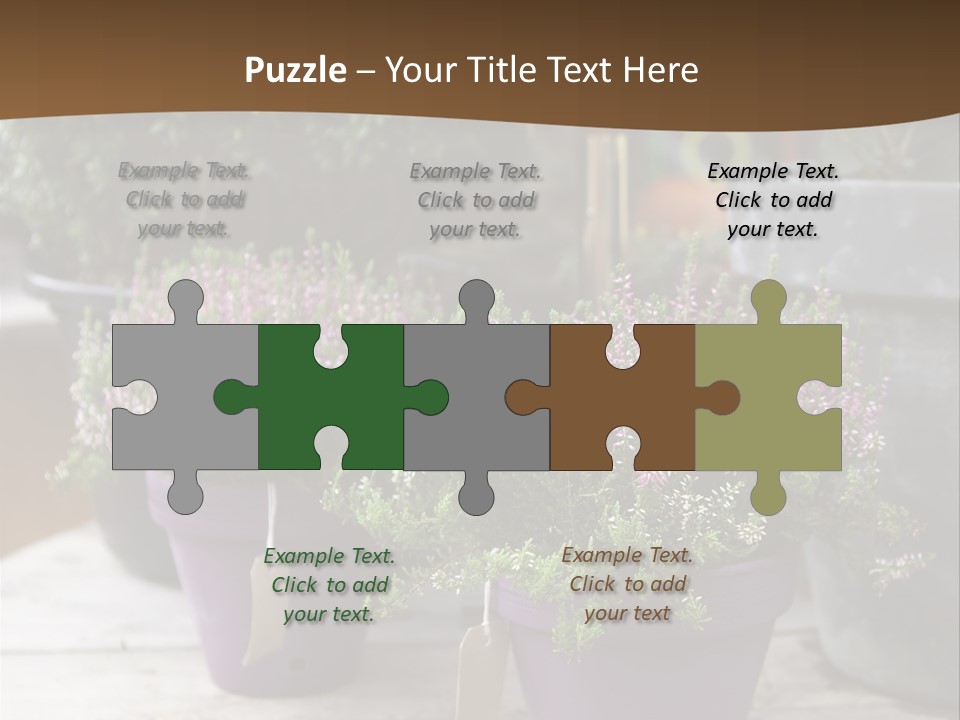 White Shoes Rake PowerPoint Template