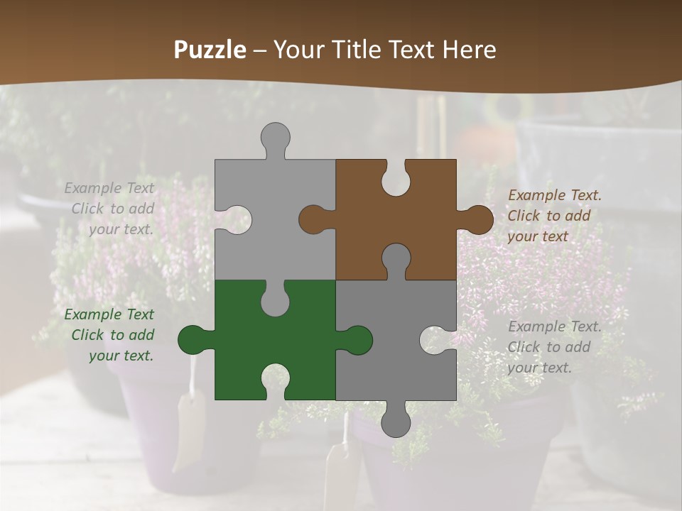 White Shoes Rake PowerPoint Template