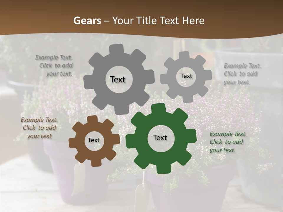 White Shoes Rake PowerPoint Template