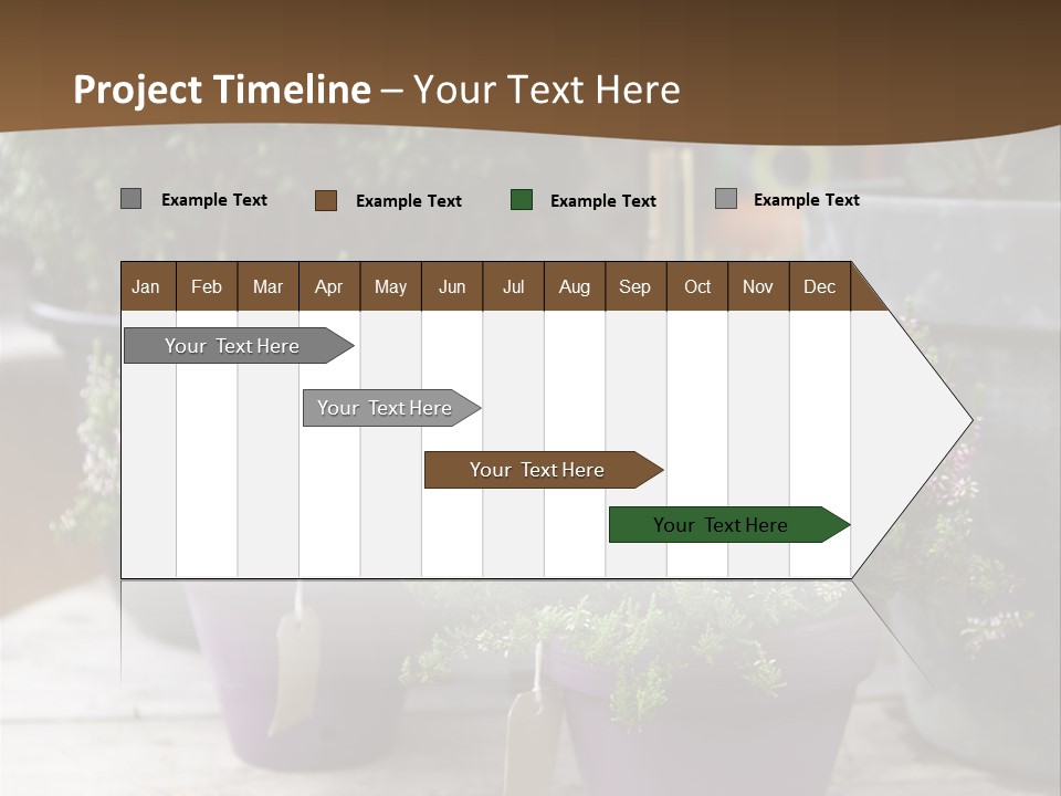 White Shoes Rake PowerPoint Template