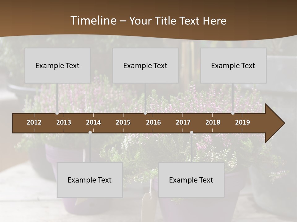 White Shoes Rake PowerPoint Template