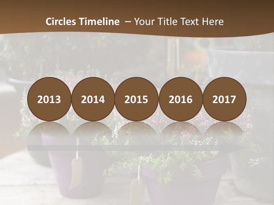 White Shoes Rake PowerPoint Template