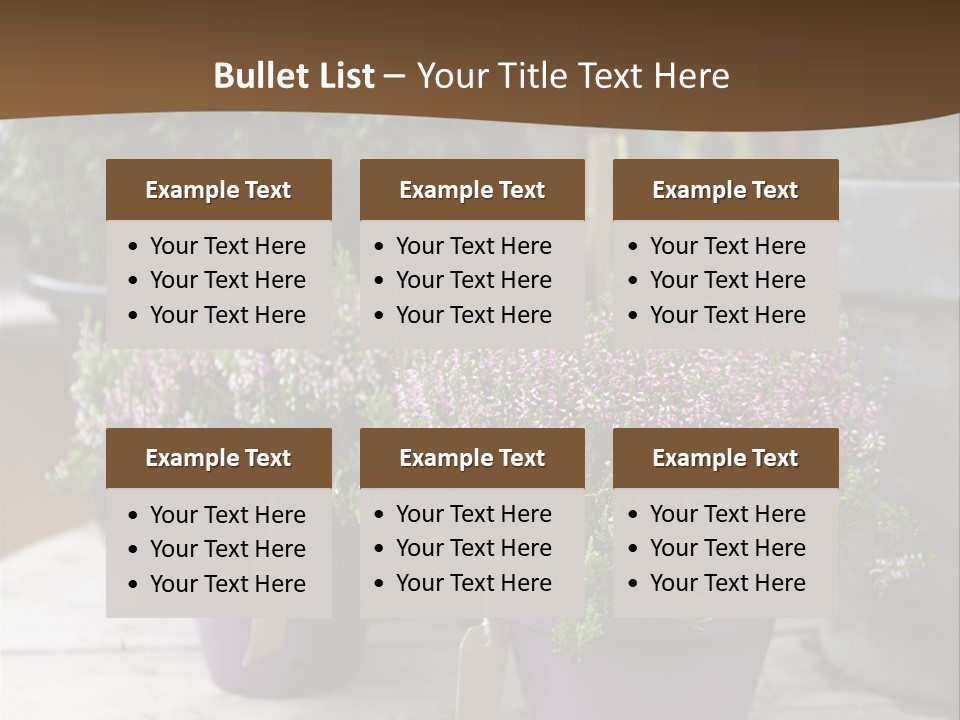 White Shoes Rake PowerPoint Template