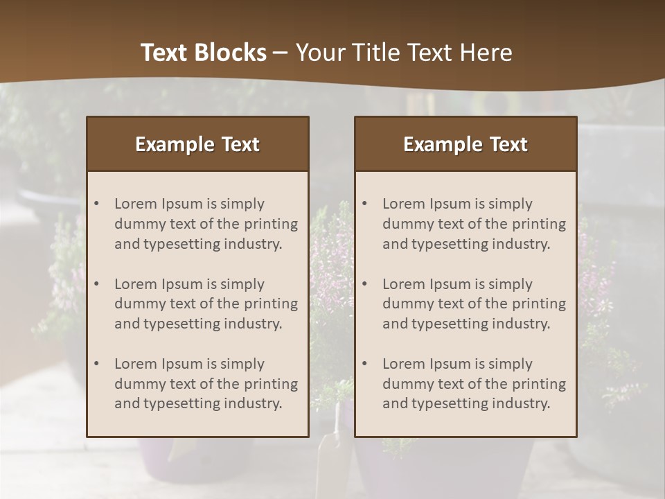 White Shoes Rake PowerPoint Template