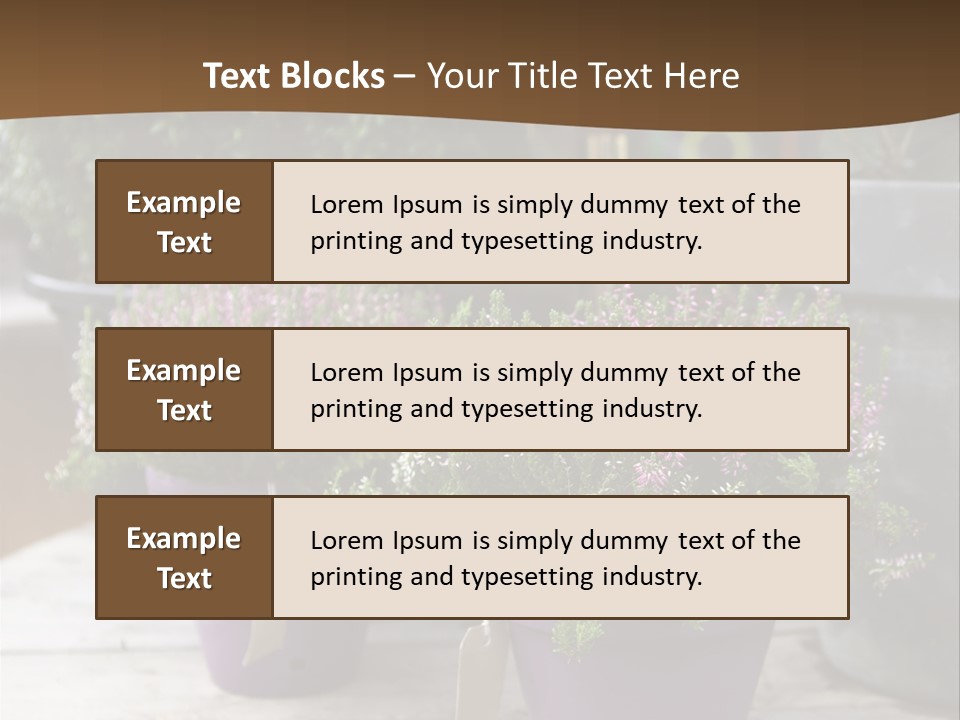 White Shoes Rake PowerPoint Template