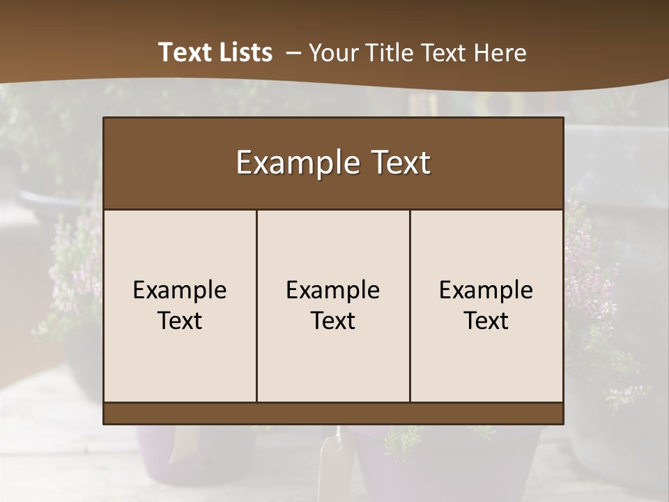 White Shoes Rake PowerPoint Template