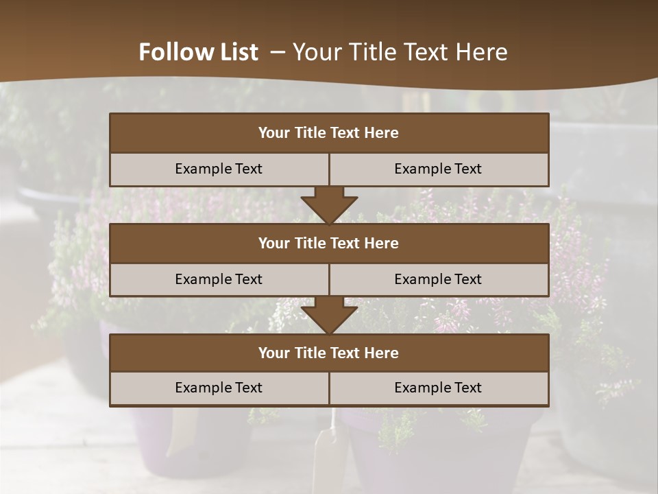 White Shoes Rake PowerPoint Template