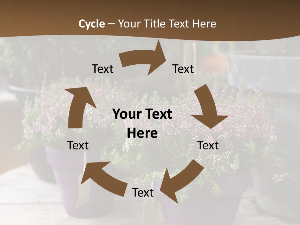 White Shoes Rake PowerPoint Template