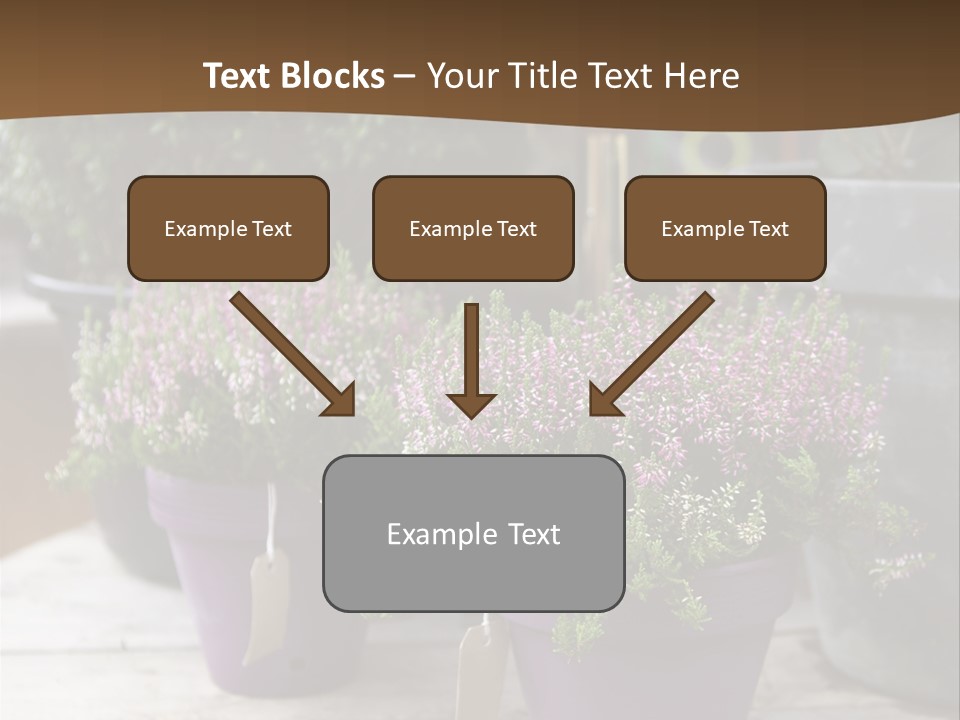 White Shoes Rake PowerPoint Template