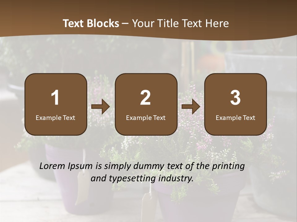 White Shoes Rake PowerPoint Template