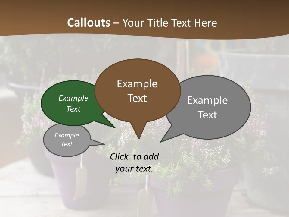 White Shoes Rake PowerPoint Template