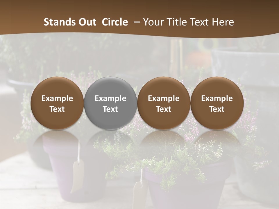 White Shoes Rake PowerPoint Template