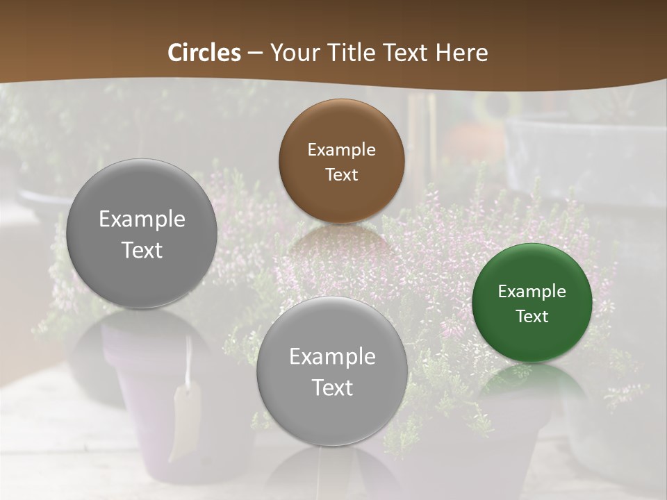 White Shoes Rake PowerPoint Template