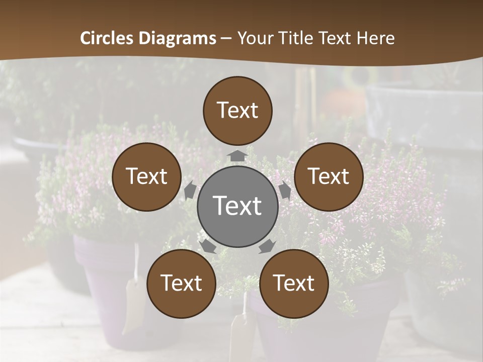 White Shoes Rake PowerPoint Template