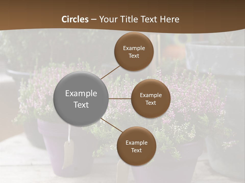 White Shoes Rake PowerPoint Template