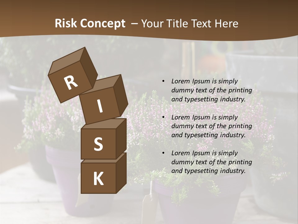 White Shoes Rake PowerPoint Template