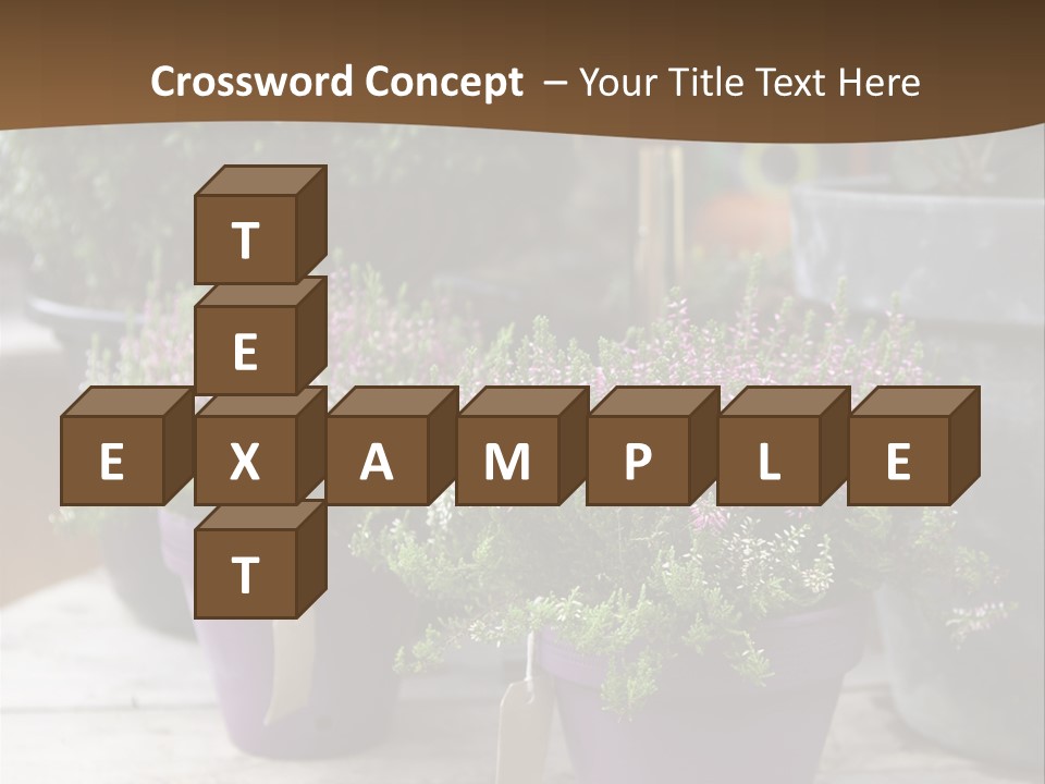 White Shoes Rake PowerPoint Template