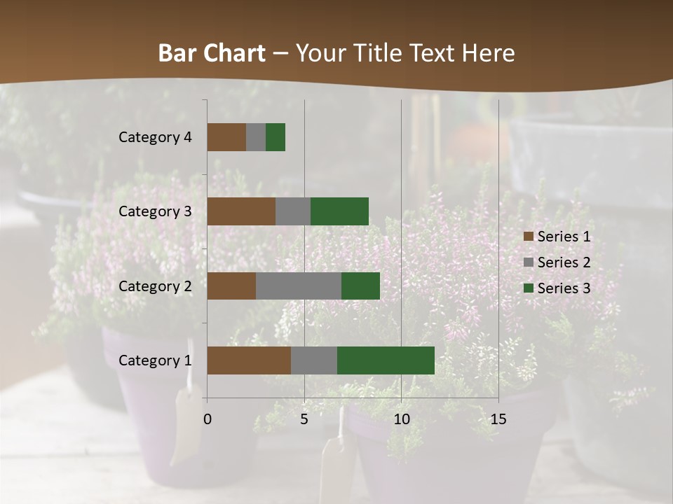 White Shoes Rake PowerPoint Template