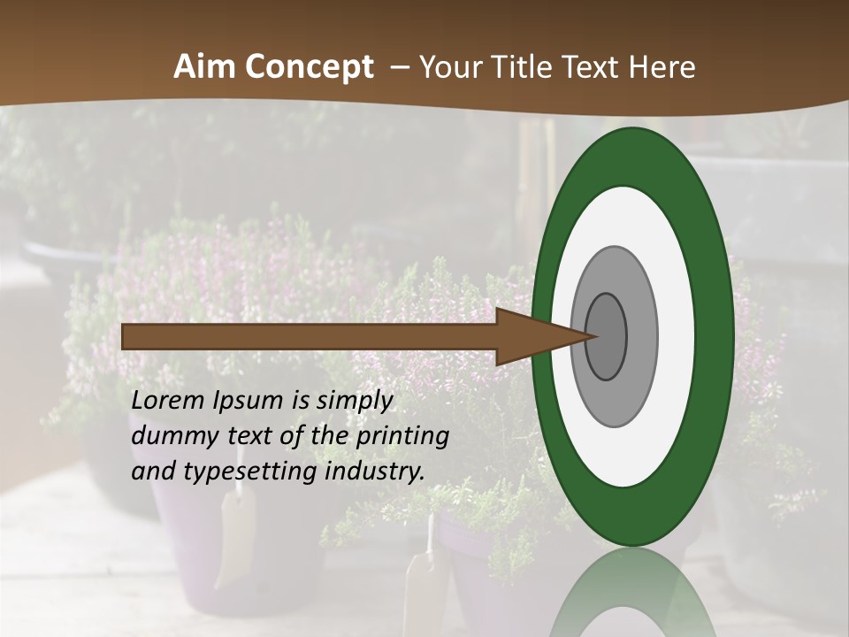 White Shoes Rake PowerPoint Template